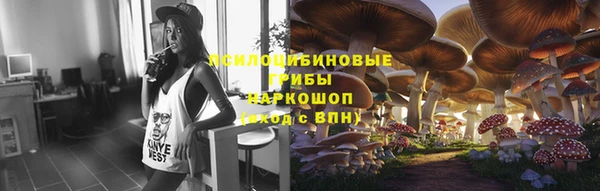 mdpv Заводоуковск