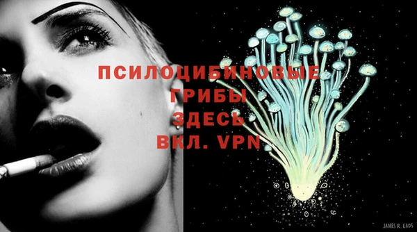 мдпв Заволжье
