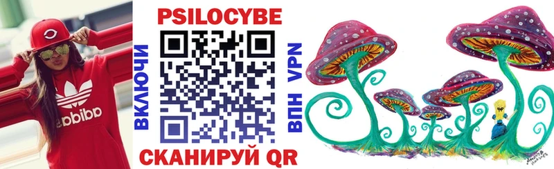 купить наркотик  Шахунья  Псилоцибиновые грибы Cubensis 