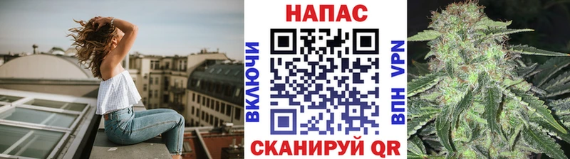 Конопля SATIVA & INDICA  как найти закладки  Шахунья 